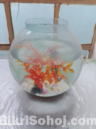 Fish acqurium with plastic trees and colorful stones